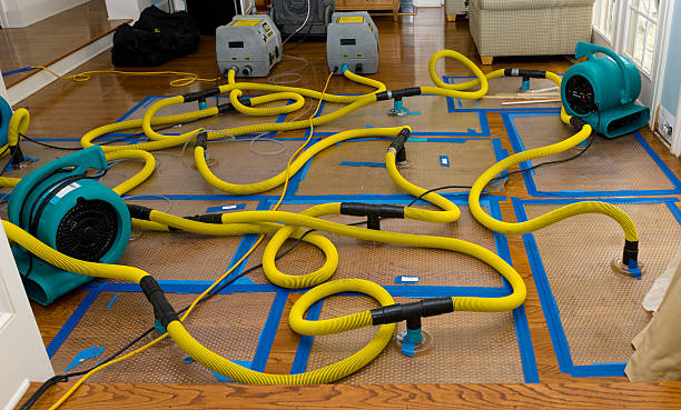 Professional Burst Pipe Water Damage technician working in Pioneertown, CA